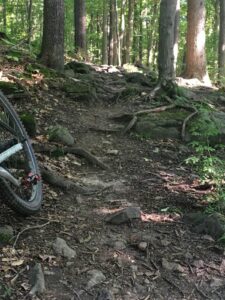 A rough biking trail in the woods