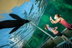 Columbus Zoo and Aquarium – COVID-19
– Adventure Cove presented by OhioHealth at the Columbus Zoo and Aquarium