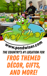 the-frog-shop-medium-banner-v.1