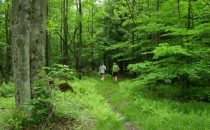 Two people hiking in the Allegheny National Forest