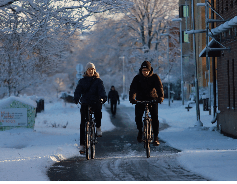 Snow is on the ground and trees while two people are bicycling through town on a clear path