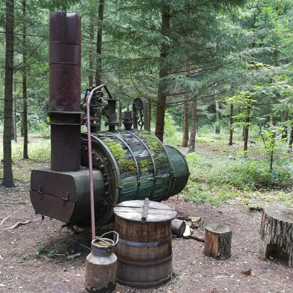 A moonshine still in the middle of the woods
