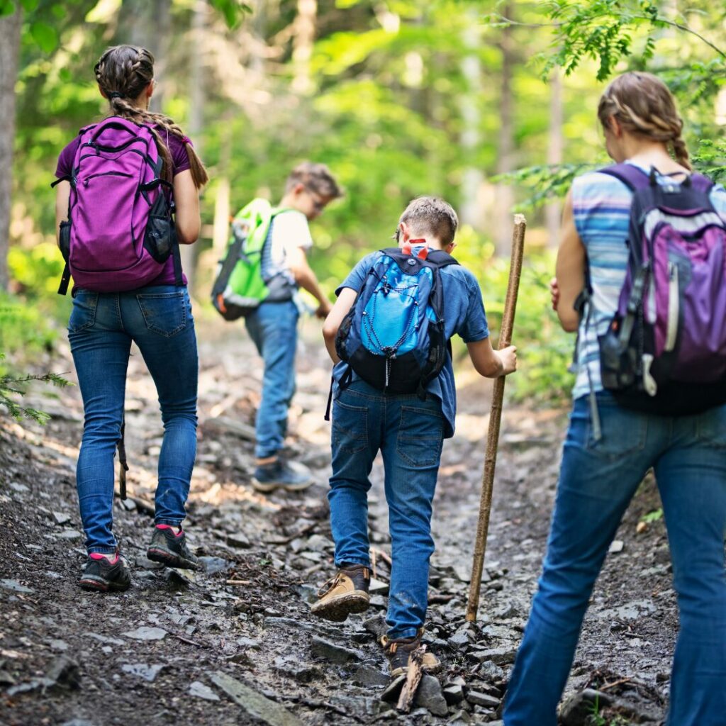 A family is pictured from the back as beginner hikers and each both children are using walking sticks.